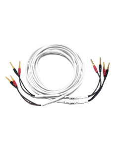 Black Rhodium INTRO Speaker Cables 2