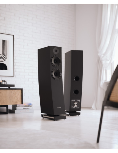 Pylon Audio Jasper 25 MKII Passive