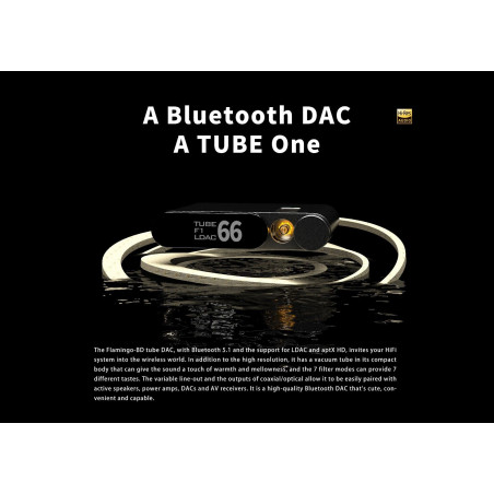 Aune Flamingo-BD BlueTooth Tubed 5.1 DAC