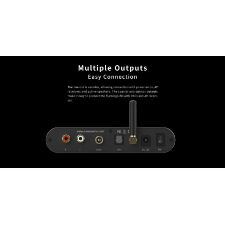 Aune Flamingo-BD BlueTooth Tubed 5.1 DAC