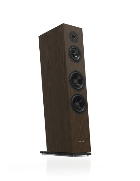 Pylon Audio Diamond 30MKII