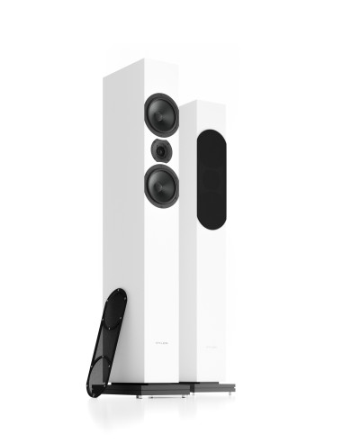 Pylon Audio Zirkon 20