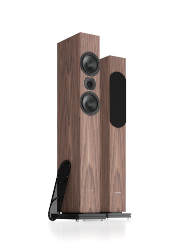 Pylon Audio Zirkon 20
