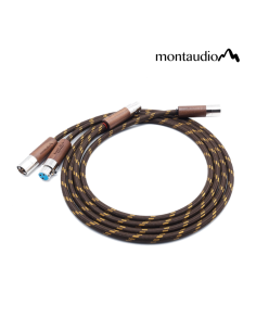 Montaudio BOWEN AC-1