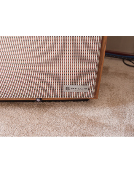 Pylon Audio Jade 20 ex demo