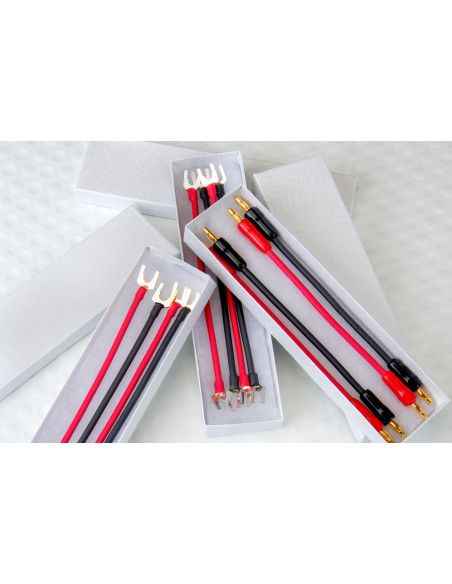 Dh-Labs Jumper Cables Gold Spades