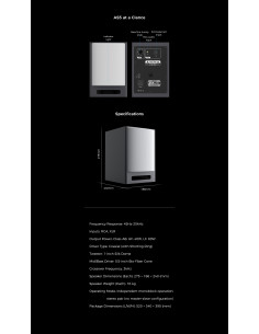 aune AS5 Active Loudspeakers 2