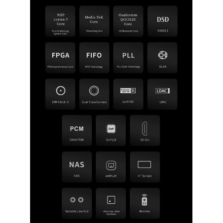 aune S10n Network Player & Streamer with WiFi BT