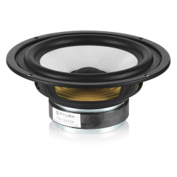 Pylon Audio Pearl Monitor 2