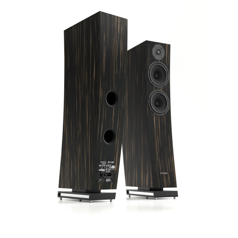 Pylon Audio Jasper 25 MKII Active