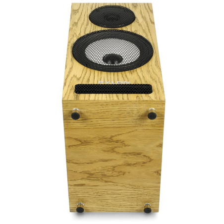 Pylon Audio Ruby Monitor