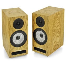 Pylon Audio Ruby Monitor 2