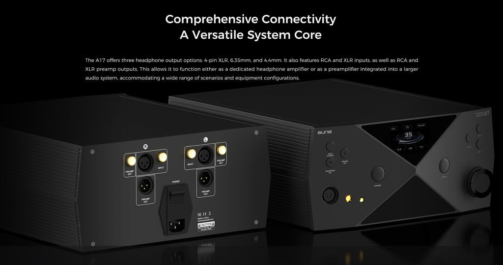Headphone amplifier rear panel with RCA and XLR output ports and input connectors