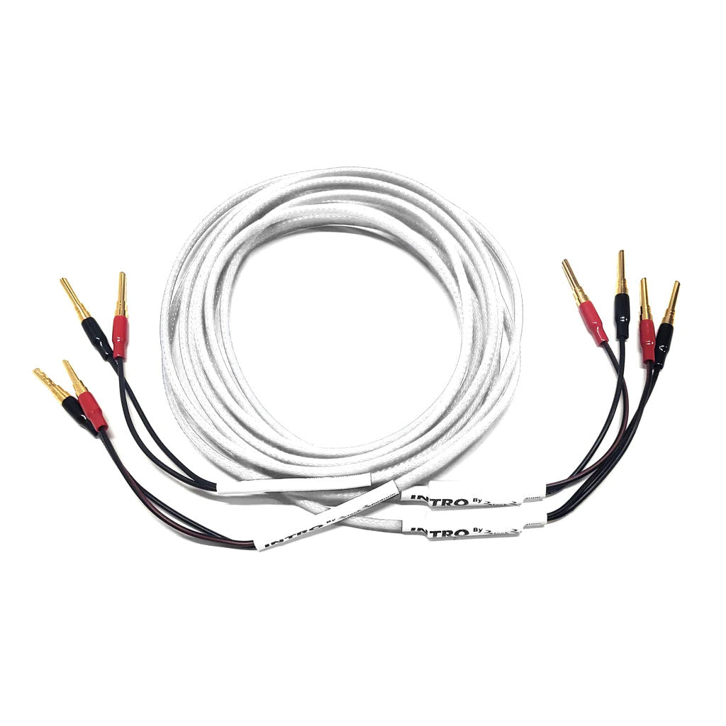 White speaker cable set with gold banana plugs and red/black connector ends