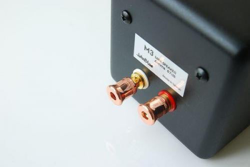 Black speaker panel with copper RCA-style connectors and attached label