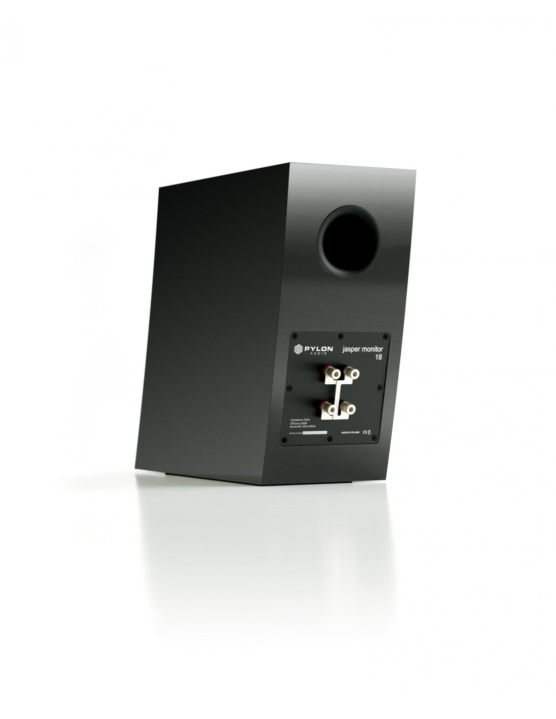 Black monitor speaker rear view with bass port and speaker terminal panel