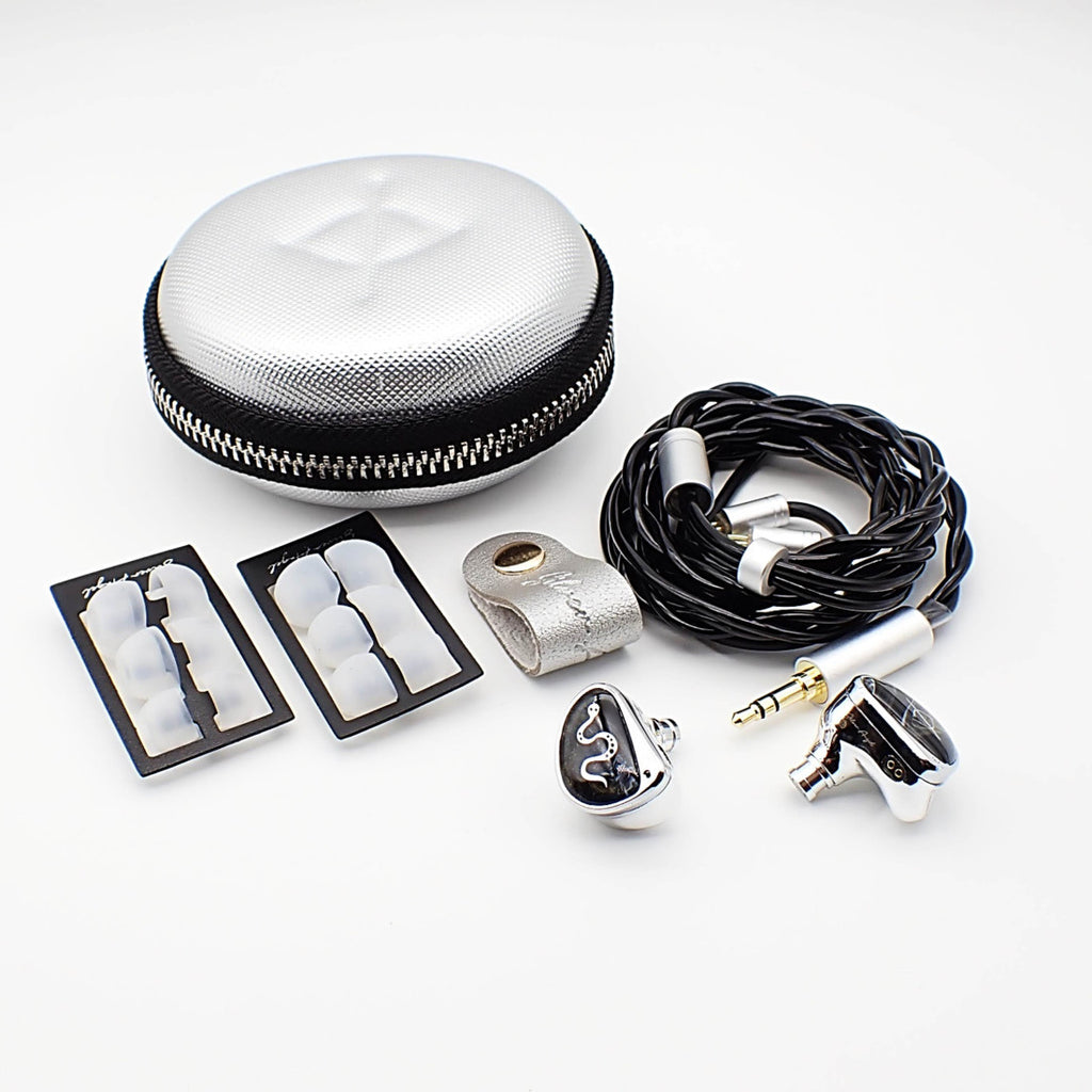 Earbud accessories set with white zip case, black braided cable, adapters and tips