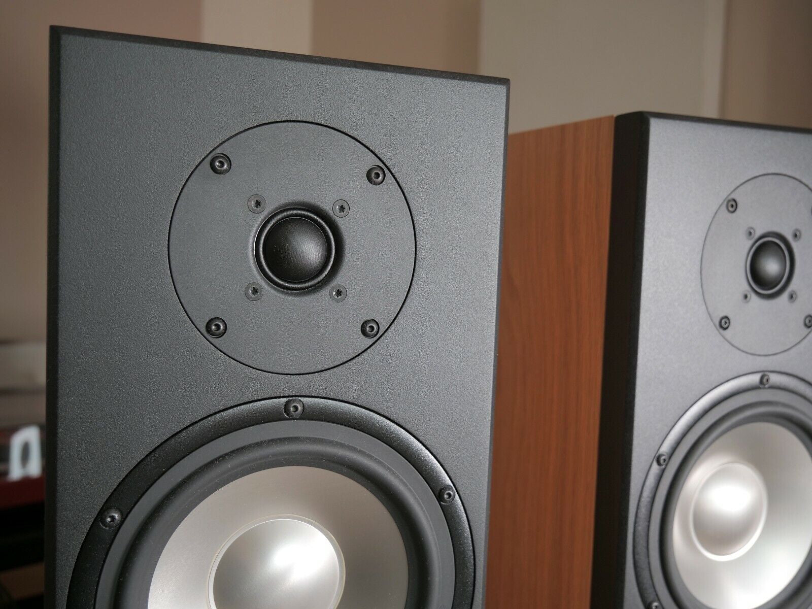 Black speaker front baffle with tweeter and large woofer driver