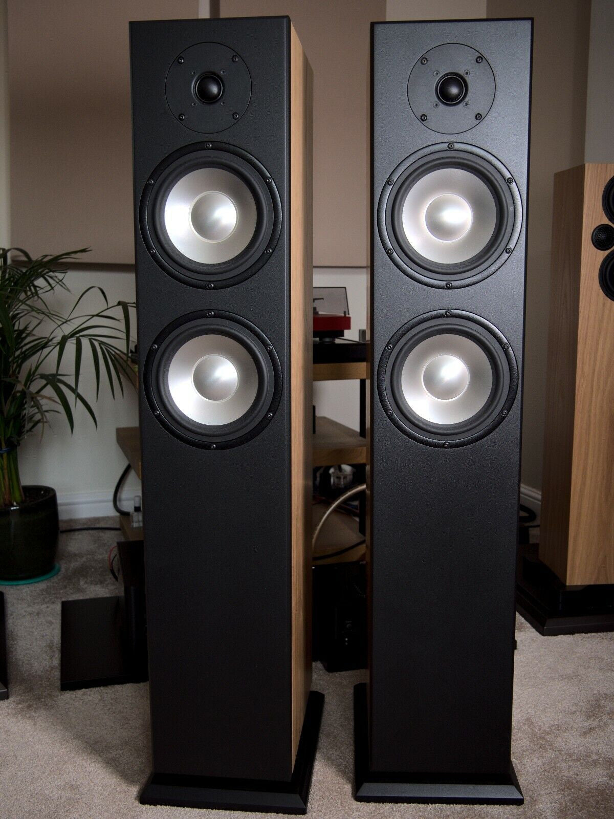 Black floor-standing speaker cabinets with two round drivers each