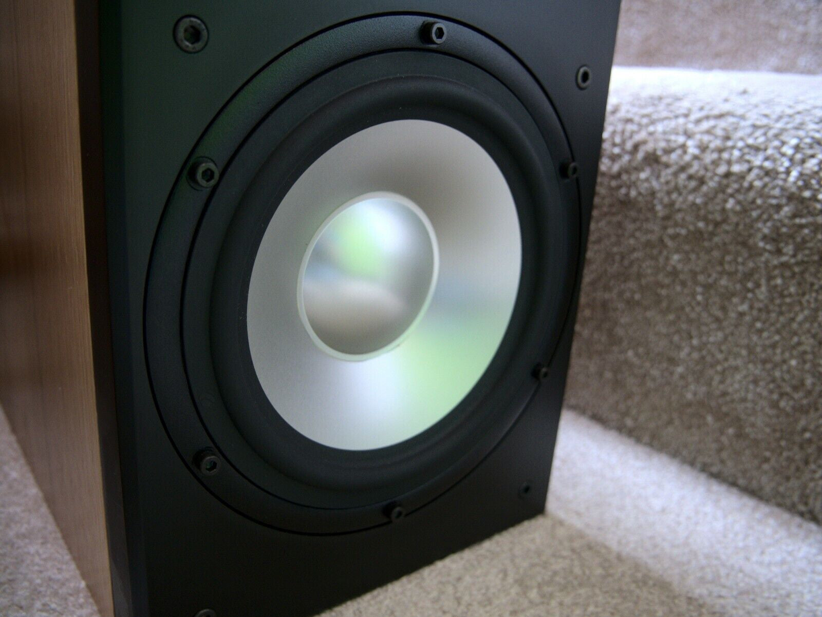 Ophidian Audio Prophet P1 Evolution Stand Mount Loudspeakers Ex Demo