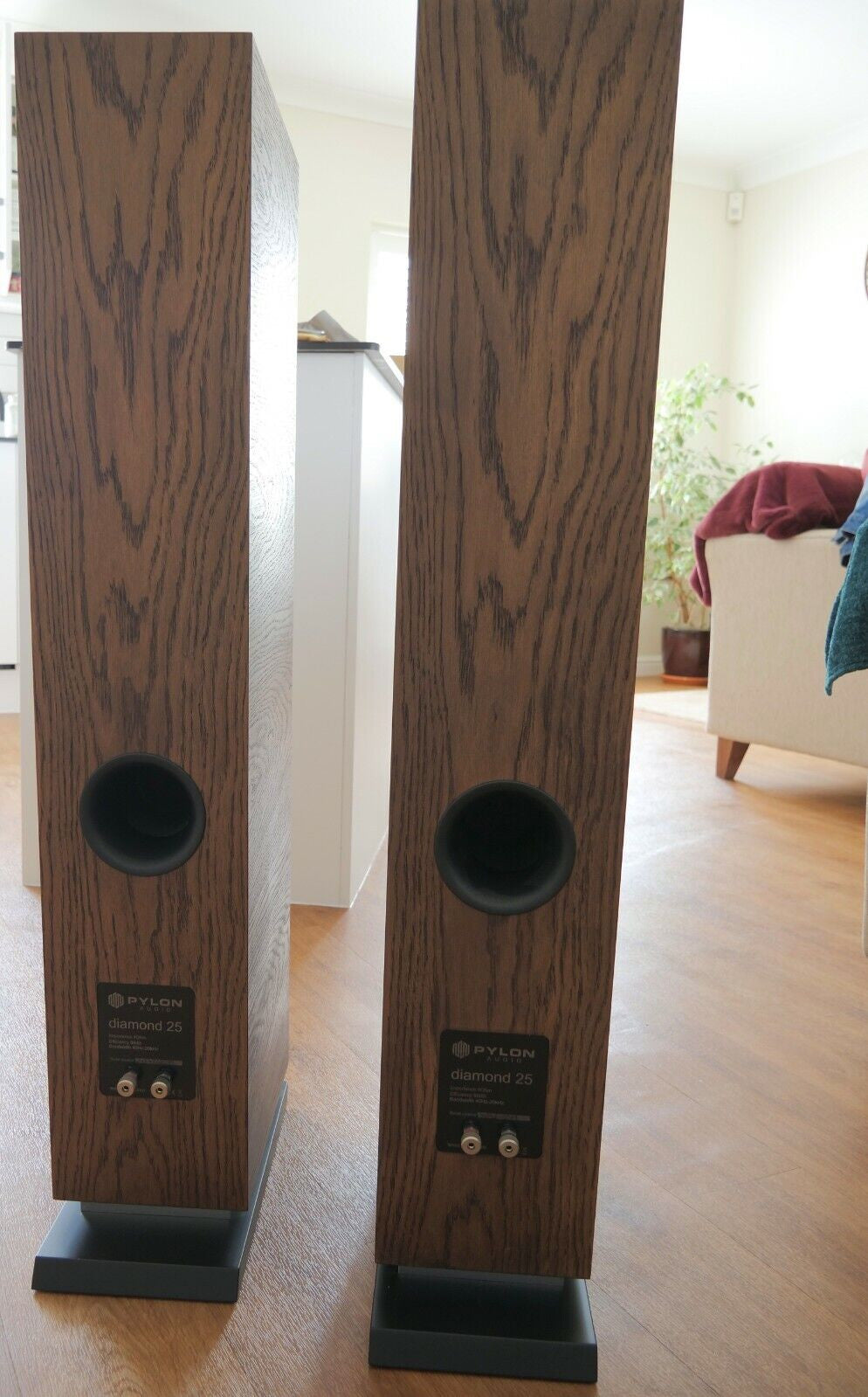 Chocolate-brown speaker pair rear view on bases with black ports and back labels