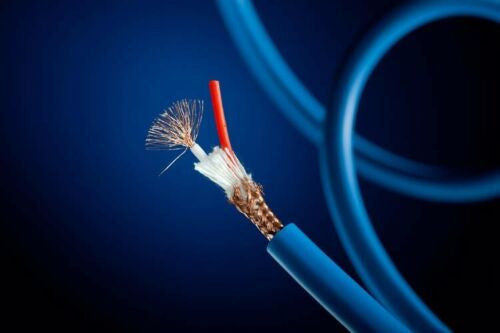 Exposed end of blue insulated electrical cable with copper strands and red core
