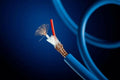 Exposed end of blue insulated electrical cable with copper strands and red core