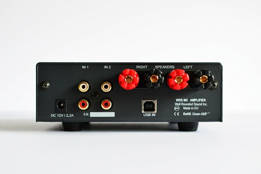 Black stereo amplifier rear panel with RCA inputs, speaker terminals, and ports