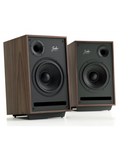 Wooden studio speaker with black front panel, woofer and tweeter, front view (pair)