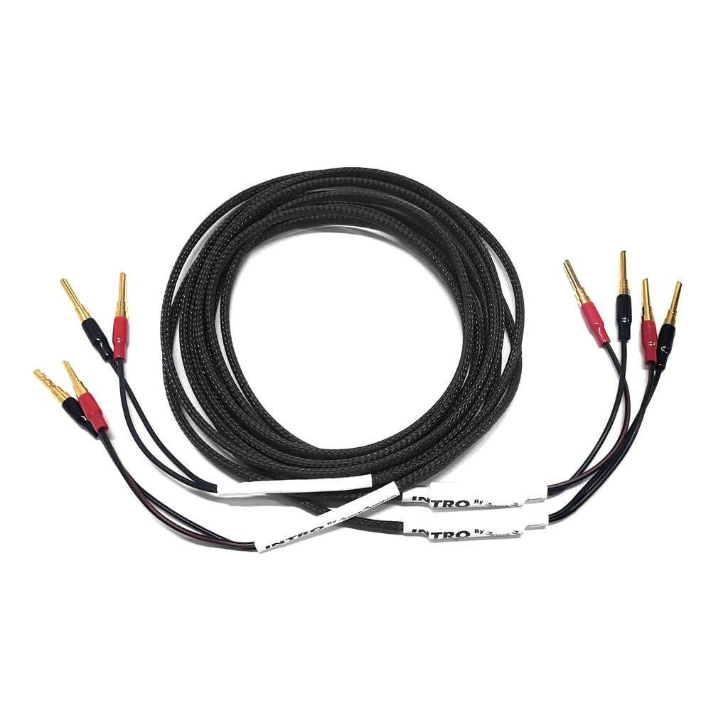 Black speaker cable set with gold banana plugs and red/black connector ends