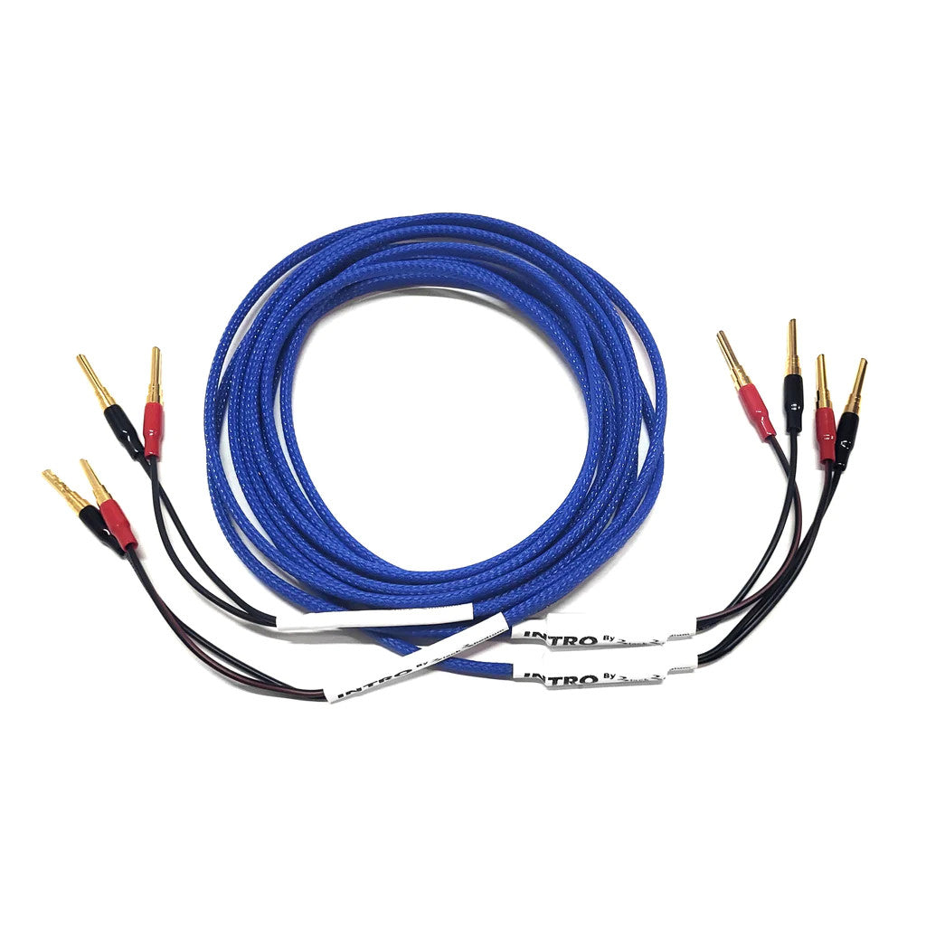 Blue speaker cable set with gold banana plugs and red/black connector ends
