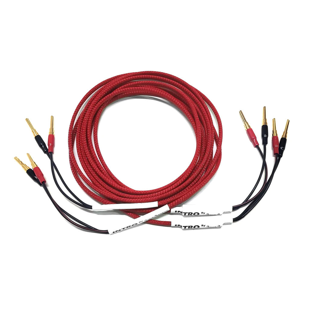 Red speaker cable set with gold banana plugs and red/black connector ends