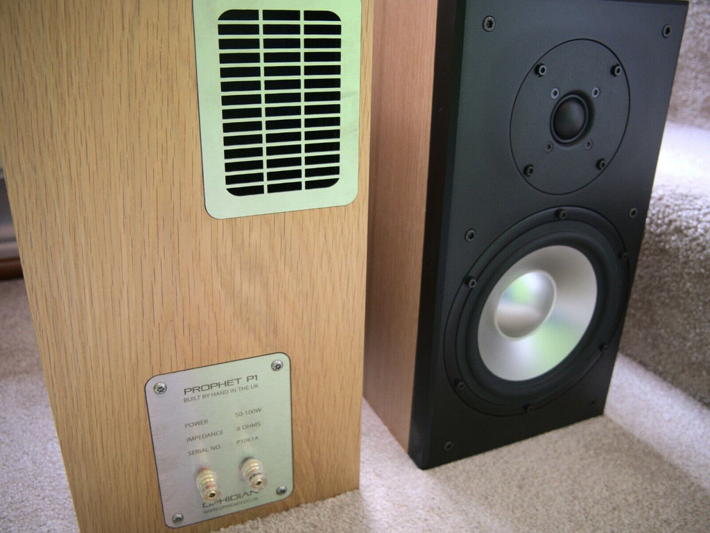 A close-up of a ophidian audio speaker system showing the wood-grain side panel with a silver control plate and a light green grille, next to a black speaker cone on a carpeted floor.
