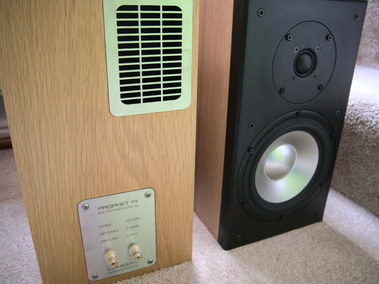 A close-up of a ophidian audio speaker system showing the wood-grain side panel with a silver control plate and a light green grille, next to a black speaker cone on a carpeted floor.