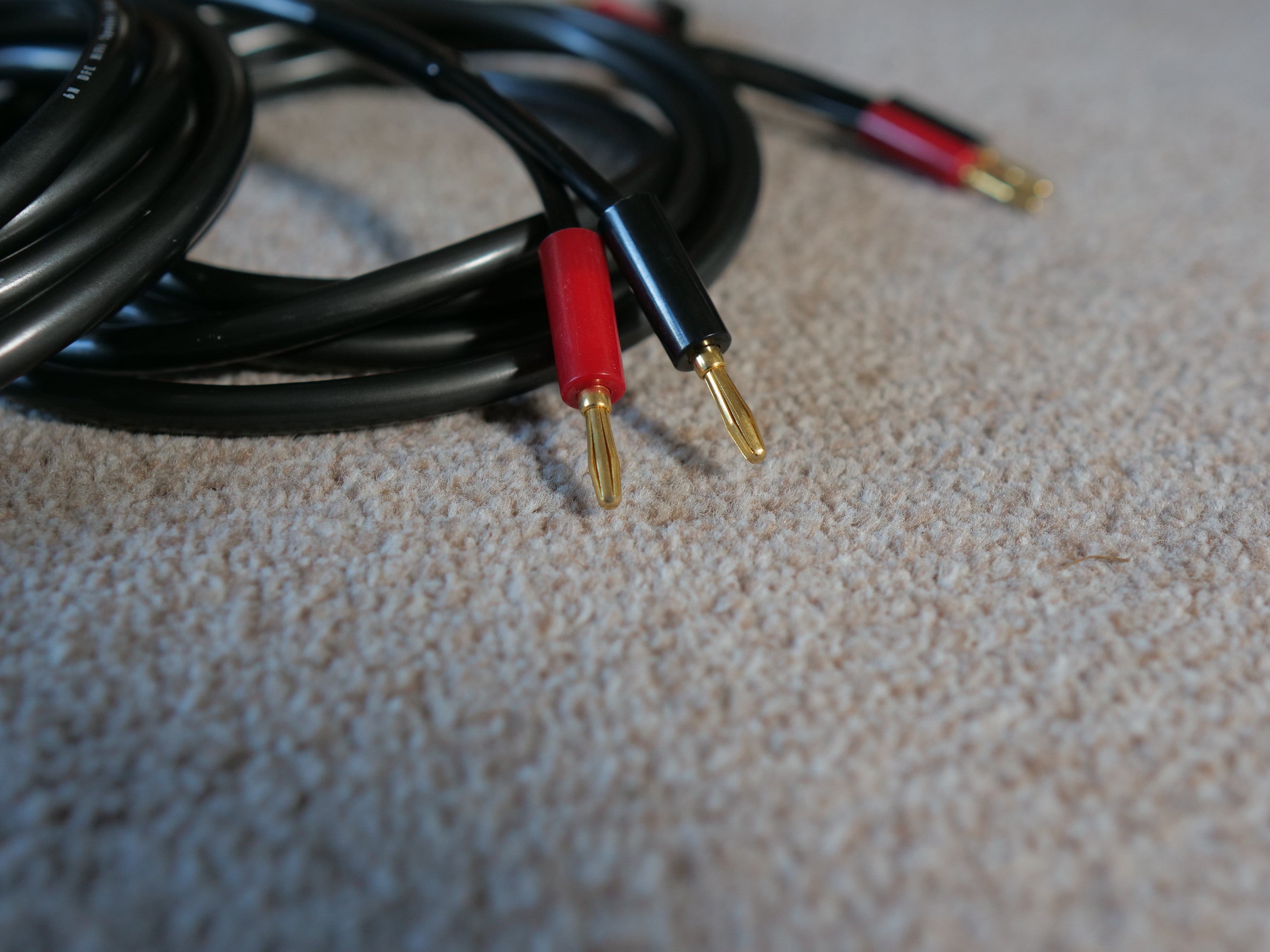 Black loudspeaker cable ends with red and gold banana plugs, close-up
