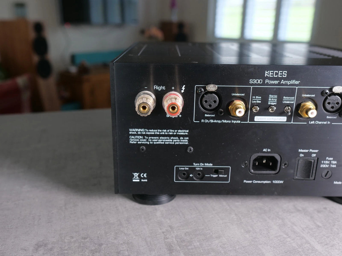 Close-up of the rear panel of a black KECES S300 power amplifier, showing various audio input and output connectors, power ports, and labels, set on a gray tabletop with a blurred living room background.