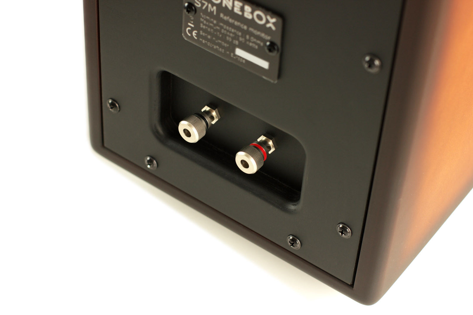 Close-up of the rear panel of a  XTONEBOX S-7Mspeaker, showing the two binding posts and a silver brand badge against a white background.