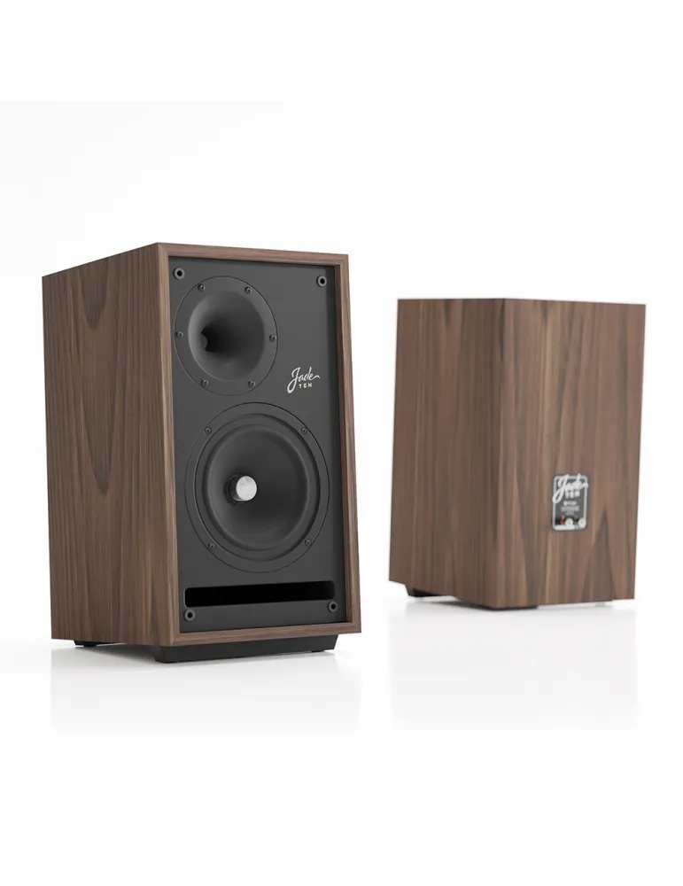 Natural wood speaker with front woofer and tweeter, plus side view panel badge