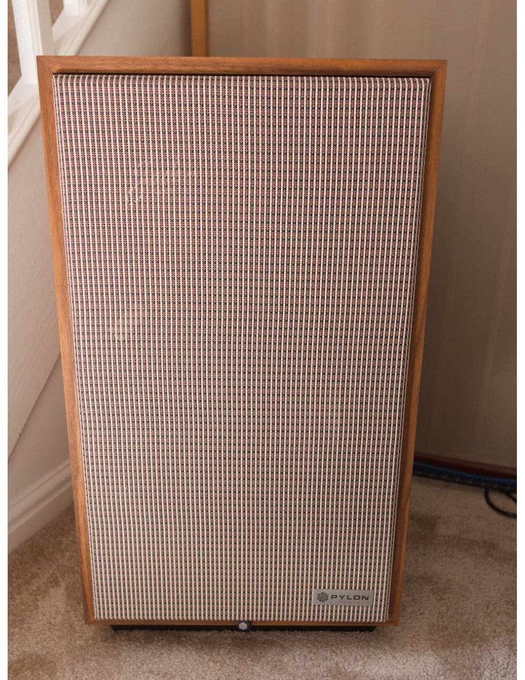 Pylon Jade speaker standing on carpet, front grille and base controls visible