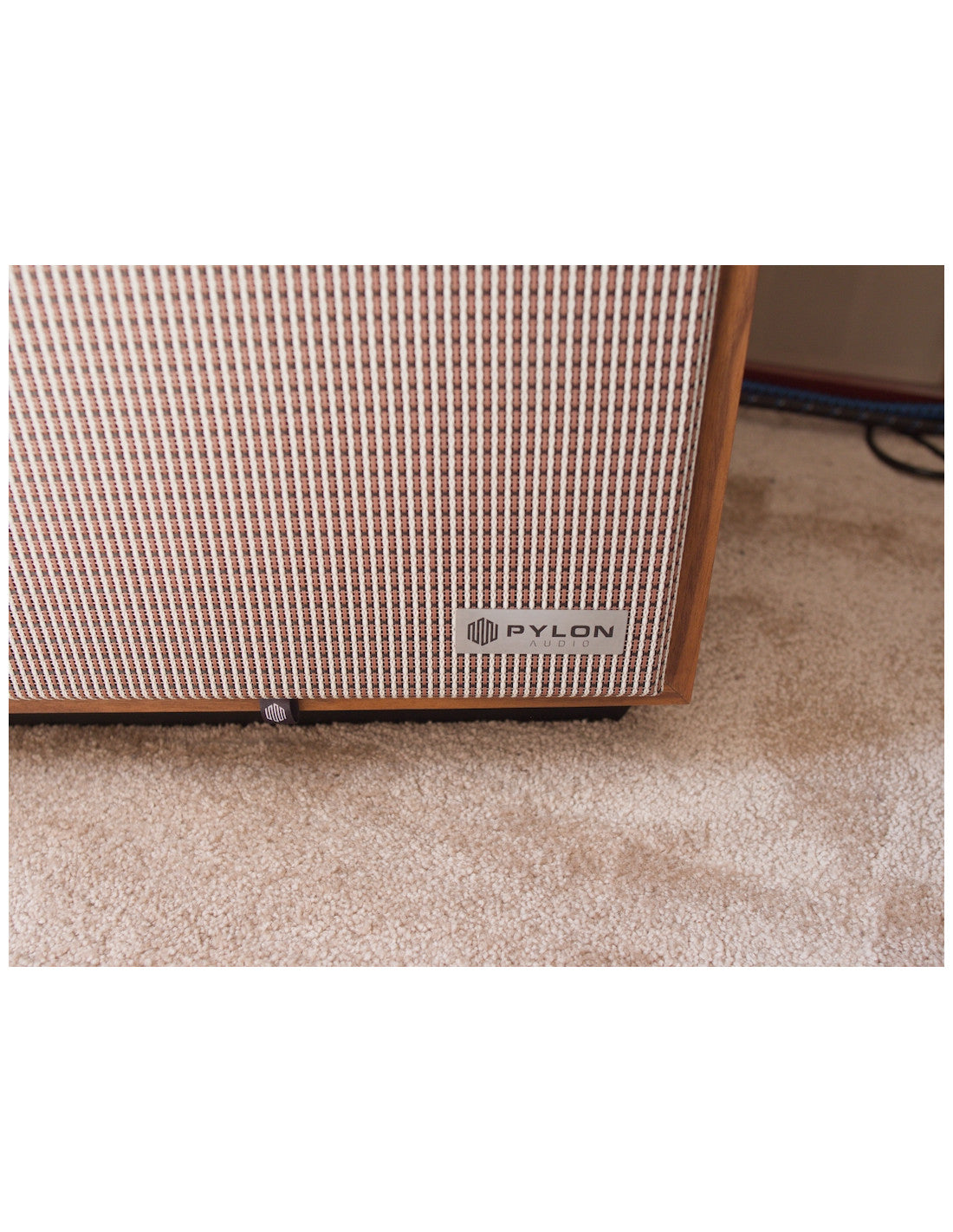 Pylon Jade speaker rear grille with wooden cabinet and logo badge