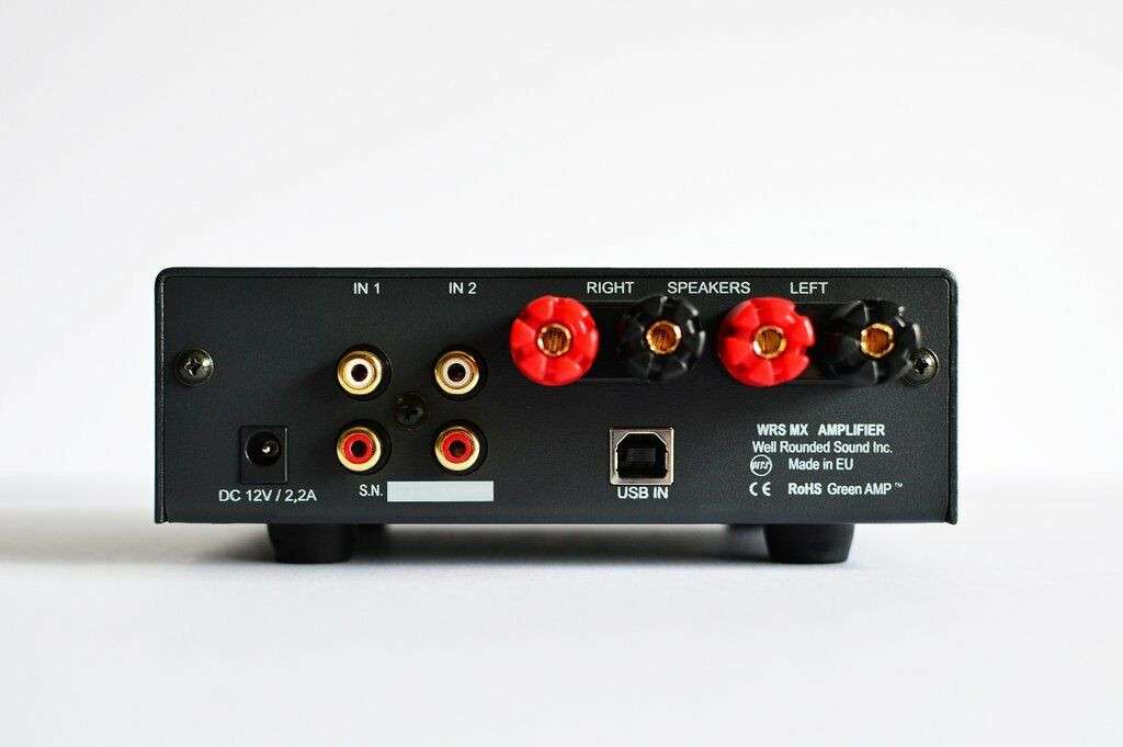 Black stereo amplifier rear panel with RCA inputs, speaker terminals, and ports